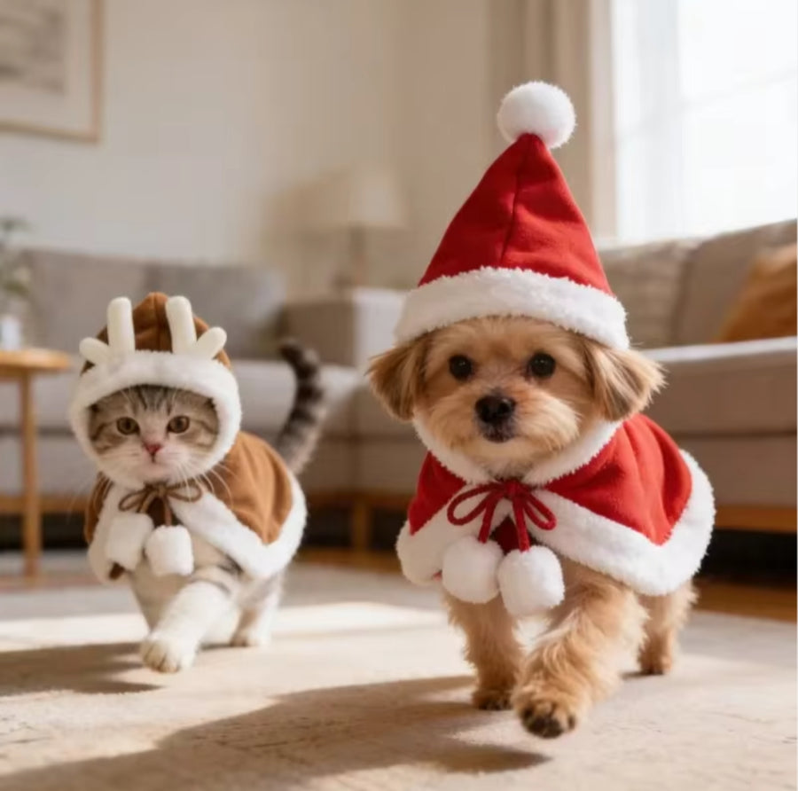 Holiday Cape for Cats & Dogs